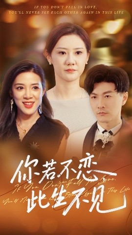 你若不恋此生不见海报