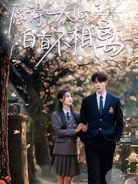 愿得一人心白首不相离海报