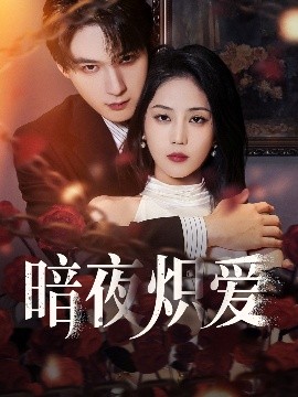 暗夜炽爱海报