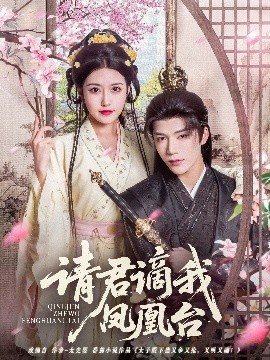 请君谪我凤凰台海报