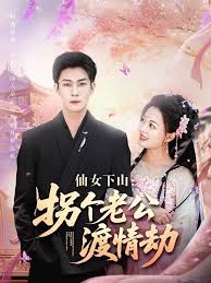 仙女下山拐个老公渡情劫海报