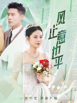 风止意也平海报