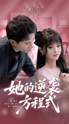 她的逆袭方程式海报