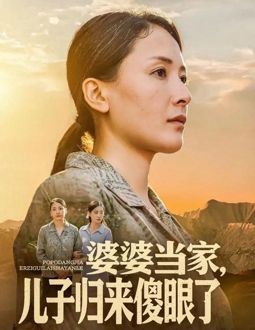 婆婆当家儿子归来傻眼了海报