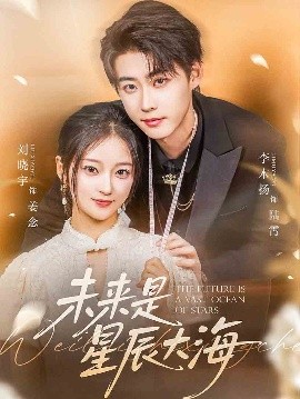 未来是星辰大海海报