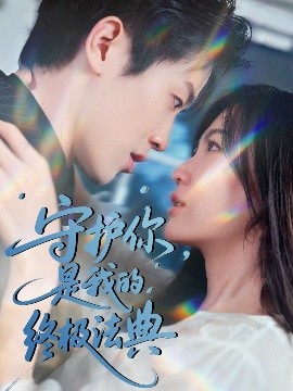 守护你，是我的终极法典海报