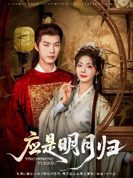 应是明月归海报