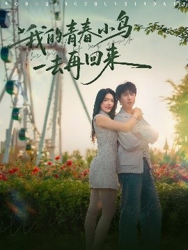我的青春小鸟一去再回来海报