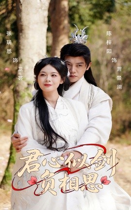 君心似剑负相思海报