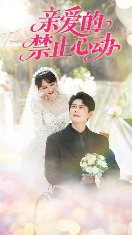 亲爱的禁止心动海报