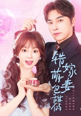 错嫁萌妻包甜的海报