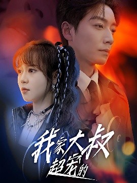 我家大叔超宠的海报