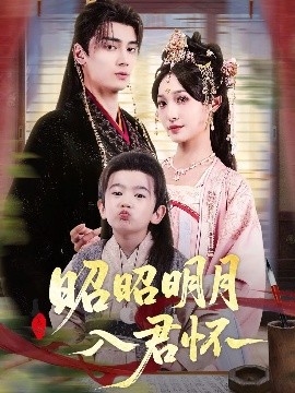 昭昭明月入君怀海报