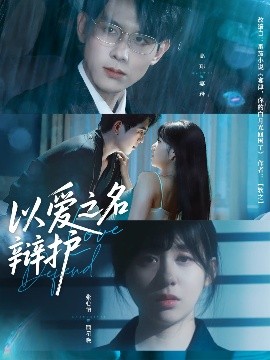 以爱之名辩护海报