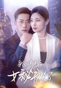 身份曝光后女秘书哭了海报