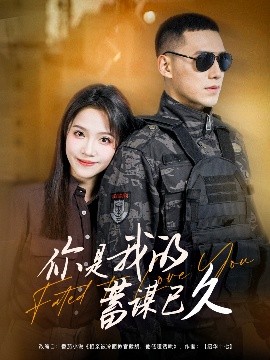 你是我的蓄谋已久海报