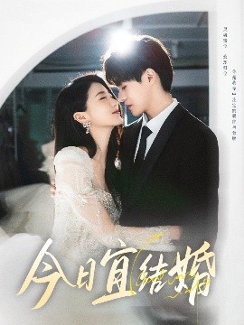 今日宜结婚海报