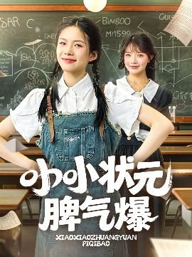 小小状元脾气爆海报