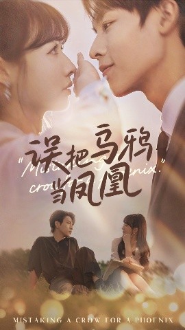 误把乌鸦当凤凰海报