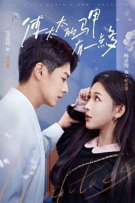 傅太太的马甲有一点多海报