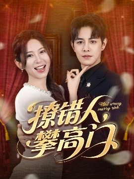 撩错人攀高门海报