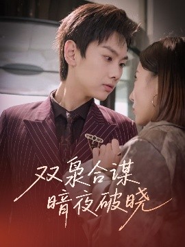 双枭合谋暗夜破晓海报