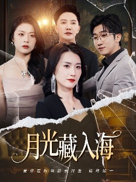 月光藏入海海报
