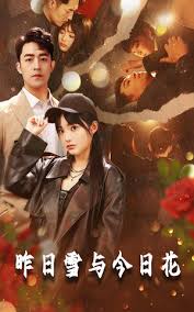 昨日雪与今日花海报
