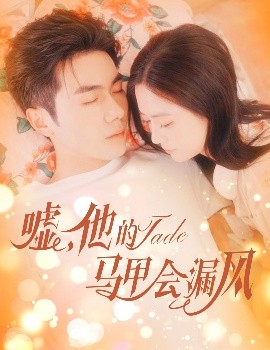 嘘，他的马甲会漏风海报