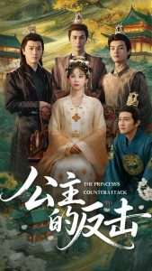 公主的反击海报