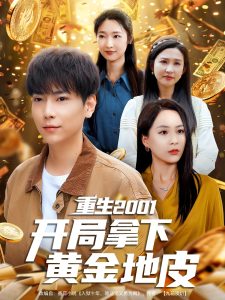 重生2001开局拿下黄金地皮海报