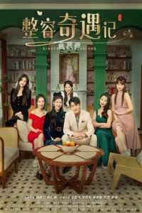 整容奇遇记海报