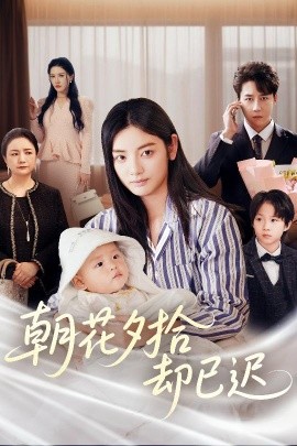 朝花夕拾却已迟海报