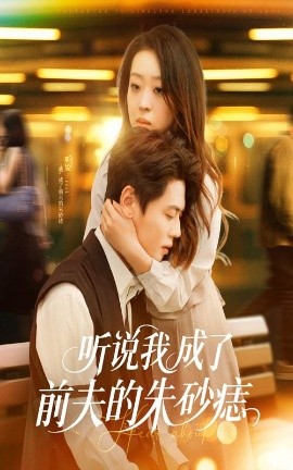 听说我成了前夫的朱砂痣海报