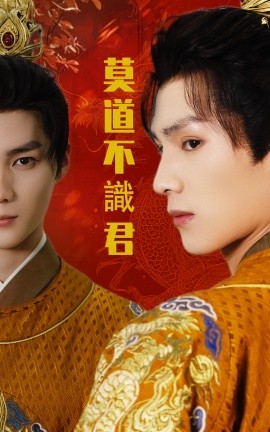 莫道不识君海报