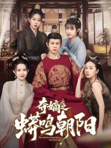 夺嫡之蟒鸣朝阳海报