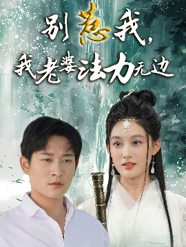 别惹我，我老婆法力无边海报