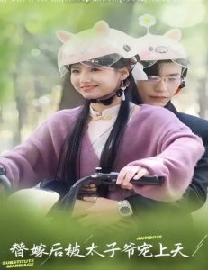 替嫁后被太子爷宠上天海报