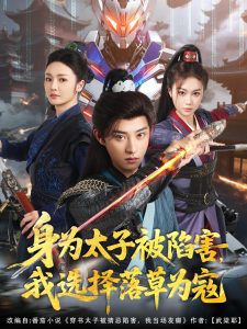 身为太子被陷害，我选择落草为寇海报