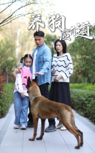 养狗应有道海报