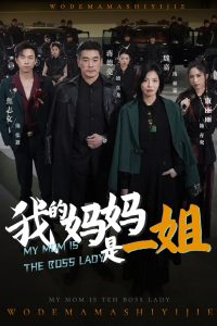 我的妈妈是一姐海报