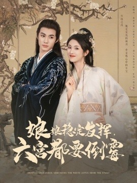 娘娘稳定发挥六宫都要倒霉海报