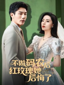 不做码农后红玫瑰她后悔海报