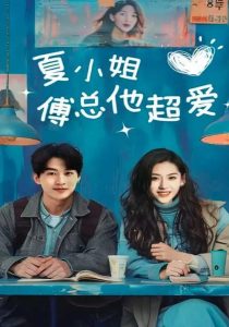夏小姐傅总他超爱海报