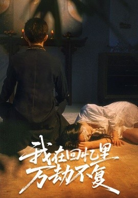 我在回忆里万劫不复海报