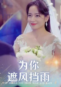 为你遮风挡雨海报