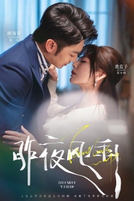 昨夜风雨海报