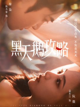 黑天鹅攻略海报