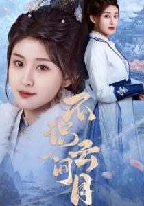 不识云间月海报