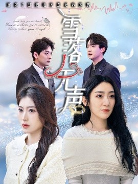 雪落无声海报